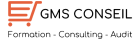 cropped-cropped-logo-GMS-Conseil-site.png